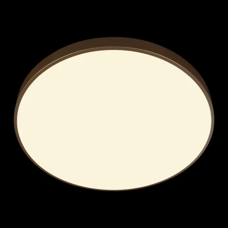 Потолочные светильники Loft It Flims 10228/B (LED, 220V, круглые)