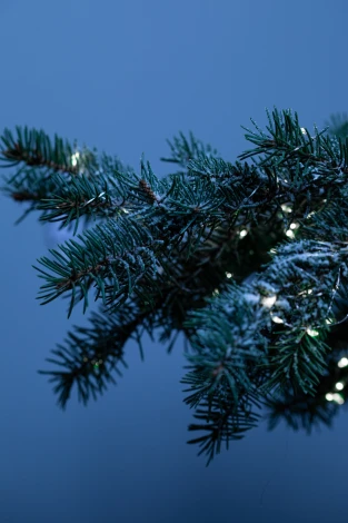 Садовая гирлянда светодиодная на солнечной батарее Нить холодный свет 21,9 м ЭРА ERASF22-17