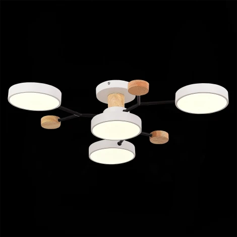 Потолочная люстра на штанге Evoluce Faema SLE6006-502-04