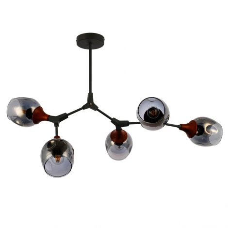 Потолочная люстра на штанге Evoluce Ciotolla SLE113402-05 (220V, шарики)