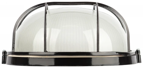 Настенно-потолочный светильник ЭРА НБП 03-100-002 в инд. упаковке НБП 03-100-002 черный