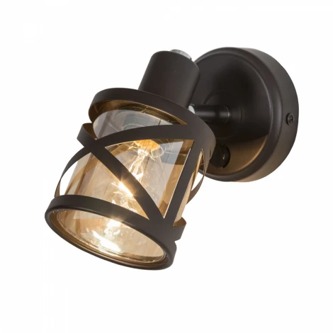 Спот Citilux Гессен CL536615 (220V, выключатель)