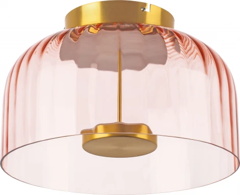 Потолочный светильник круглый светодиодный Lightstar Celesta 809062 (220V, круглые)