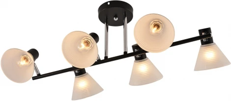 Потолочная люстра на штанге Reluce 01553-3.3-06B BK+CR (220V)