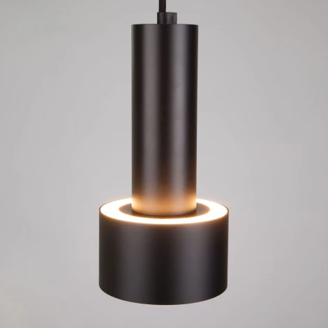 Подвесной светильник Eurosvet Charlie 50134/1 LED черный/золото