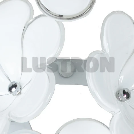 Настенный светильник Lussole Asinara LSA-5101-01