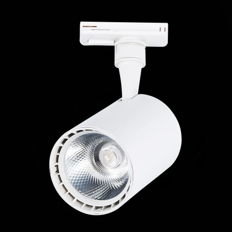 Трековый светильник ST Luce Cami ST351.546.20.36 (LED, 220V, круглые, IP22)