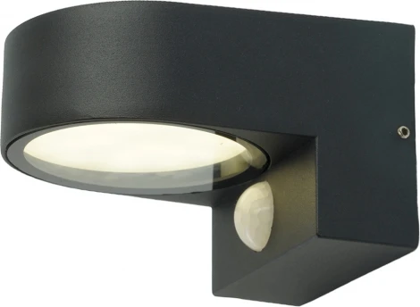 Настенный уличный светильник Feron Бостон 51327 (220V, датчик движения, датчик освещенности, IP54)