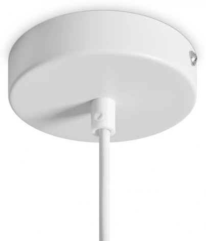 Подвесной светильник Freya Shapes FR5530PL-L10W (LED, 220V, на проводе)