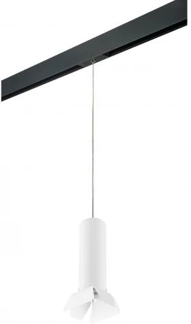 Трековый светильник однофазный 220V Lightstar Rullo PRORP496436