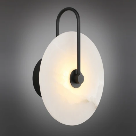 Настенный светильник Aployt Zhulen APL.322.11.05 (LED, 220V, круглые)