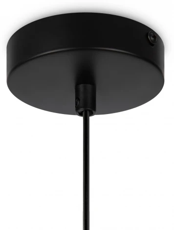 Подвесной светильник Freya Come FR8011PL-01N (220V, на проводе)