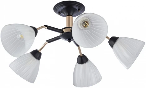 Потолочная люстра на штанге Arte Milano Napoli 324108/5 BK+FG (220V)