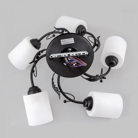 Потолочная люстра Imex MD.0401-5-S-BK