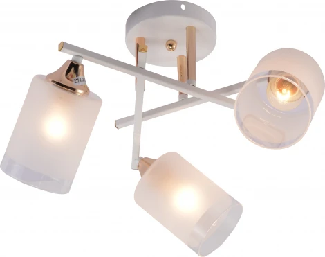 Потолочная люстра на штанге Rivoli Tammy 3162-303 (220V)