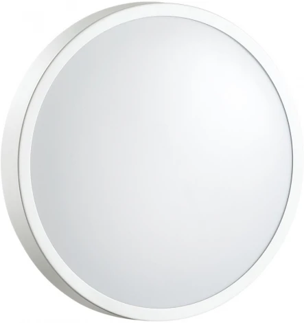 Настенно-потолочный светильник Sonex Smalli 3014/AL