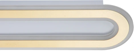 Настенно-потолочный светильник Indigo Arena V000057L