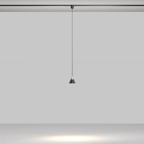 Трековый светильник Maytoni Elasity Cono TR166-1-7W3K-M-B (LED, 48V)