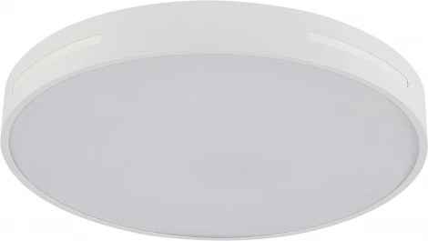 Потолочный светодиодный светильник Natali Kovaltseva Modern LED LAMPS 81332 с пультом ДУ 100W, белый, LED
