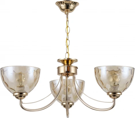 Подвесная люстра Rivoli Adrianne 9174-303 (220V, на цепи)