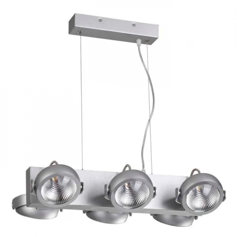 Подвесной светильник Odeon Light Flabuna 3494/60L