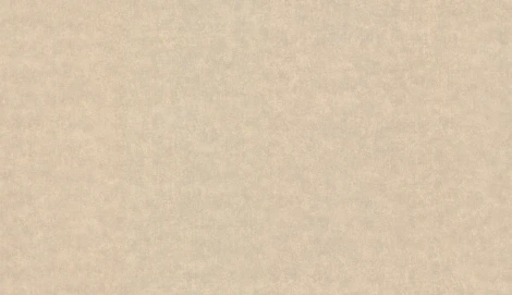 Обои виниловые Marburg Padua Classic 57311 10,05 x 1,06 м