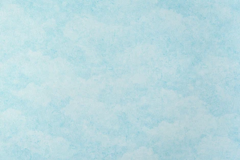 Обои виниловые Артекс Nature Inspiration 10396-01 10,05 x 1,06 м