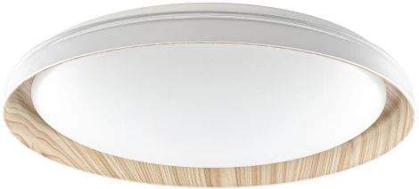 Потолочный светильник RGB круглый светодиодный с пультом Citilux Mega CL752452G (220V, круглые)