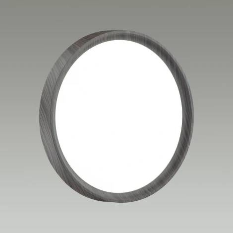 Настенно-потолочный светильник Woodi 7627/EL Sonex (регулировка яркости, LED, 220V, пульт управления, круглые, IP43)