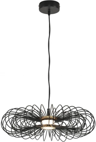 Подвесной светильник светодиодный Lumion Camomile 8301/9L LEDIO черный, металл/акрил LED 9W 3000K 220V (на проводе)