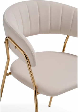 Стул Woodville на металлокаркасе Kamelia 1 beige / gold 15469