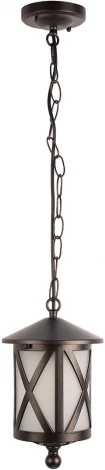 Подвесной уличный светильник Loft It Ravenna 100016P (220V, на цепи, IP55)