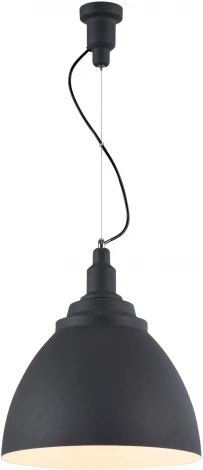 Подвесной светильник Maytoni Bellevue P535PL-01B (220V, на тросе, круглые)
