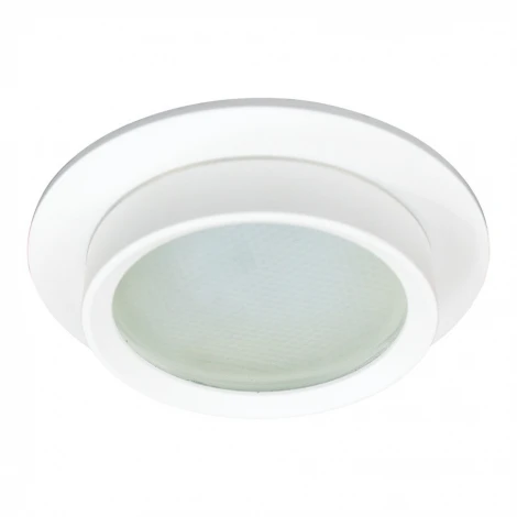 Светильник потолочный встраиваемый Feron DL504 51101