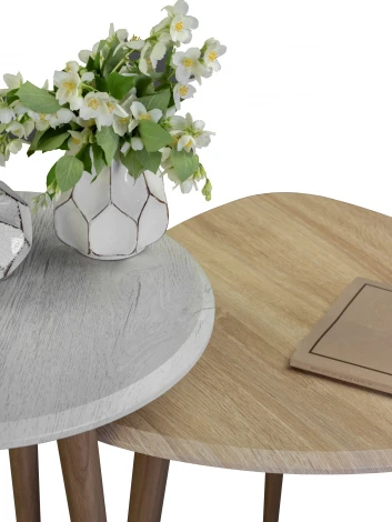 Стол журнальный BeautyStyle 2 дуб дымчатый/шимо Mebelik арт.006759