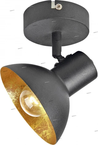 Спот Lussole Loft Louisville LSP-9973 (220V, круглые, IP21)