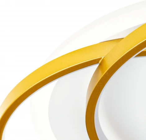 Потолочная люстра светодиодная с ДУ Ritter Snello 51624 2