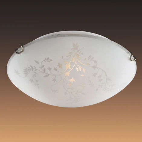 Настенно-потолочный светильник Sonex Kusta 218