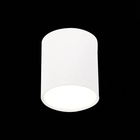 Накладной точечный светильник ST Luce Rene ST113.542.05 (LED, 220V, круглые)