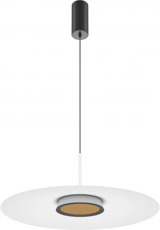 Подвесной светильник Maytoni El MOD041PL-L15W3K1 (LED, 220V, на проводе, круглые)
