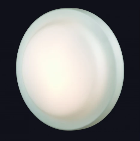 Настенно-потолочный светильник Odeon Light Tavoy 2760/3C