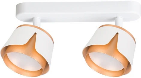 Спот Arte Lamp Amaks A8028PL-2WH