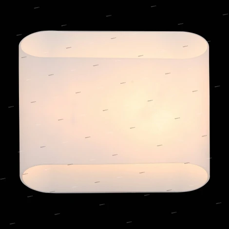 Настенный светильник ST Luce Carino SL537.501.02