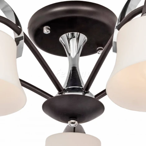 Потолочная люстра Silver Light Assol 231.59.5