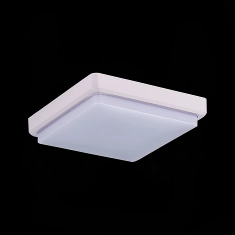 Потолочный светильник Evoluce Taddio SLE200212-01 (LED, 220V)