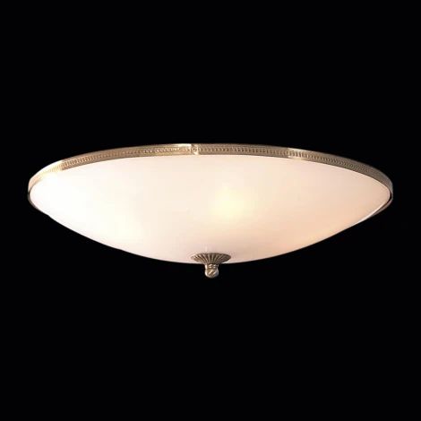 Потолочный светильник Citilux 912 CL912500