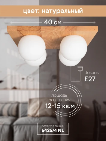 Потолочный светильник прямоугольный Мелодия Света SS1N 000036817