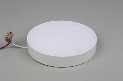 Потолочный светильник круглый Aployt Evon APL.0114.09.24 (LED, 220V, круглые)