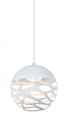 Подвесной светильник Favourite Enigma 1603-1P