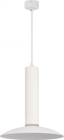 Подвесной светильник ЭРА PL14 WH (220V, на проводе)